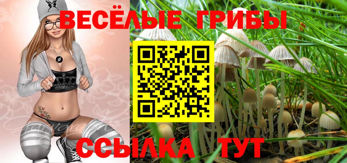Галлюциногенные грибы мухоморы Барнаул