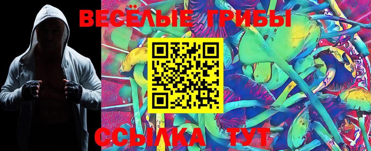 Галлюциногенные грибы MAGIC MUSHROOMS  Вход с VPN  Барнаул 